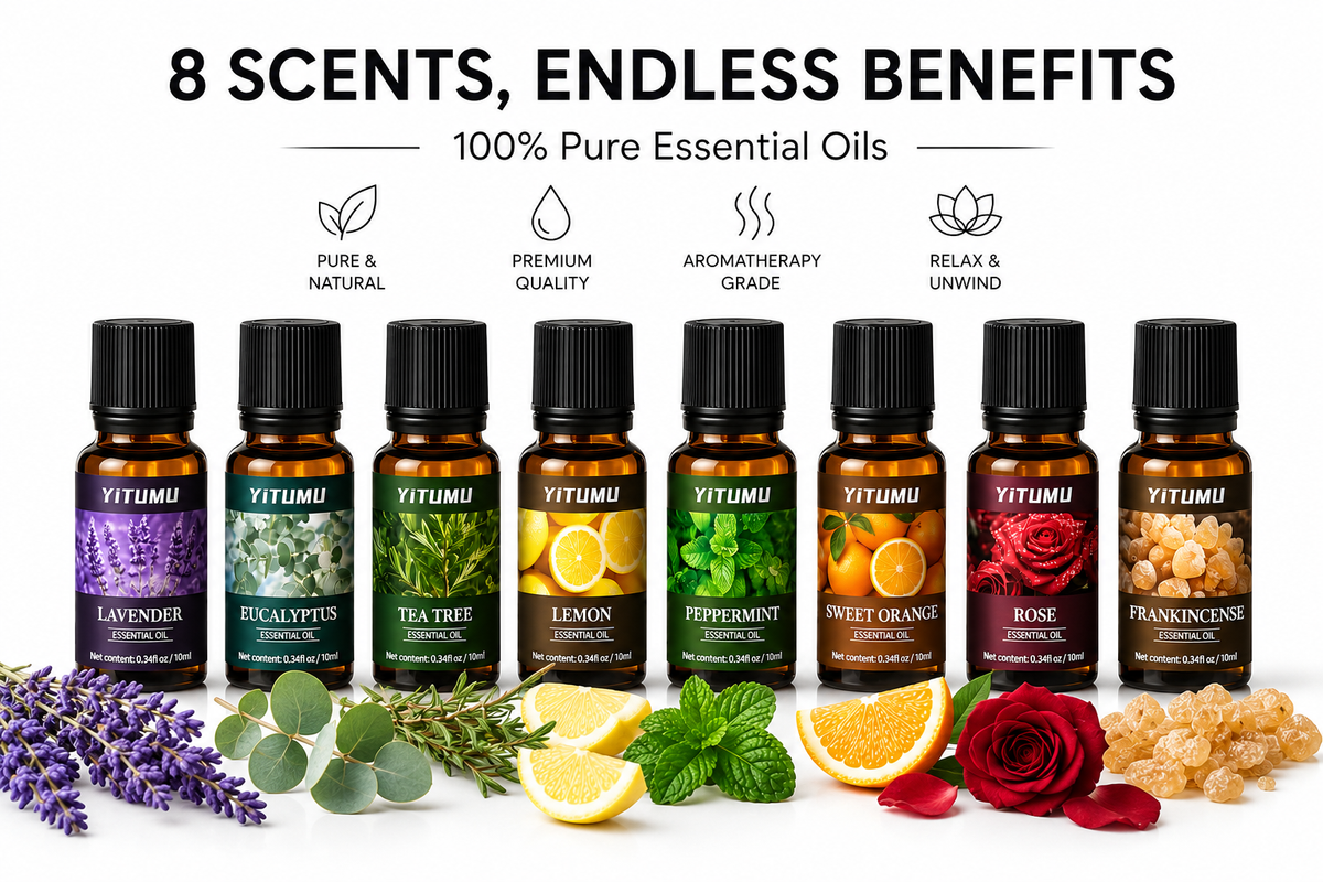 EaseStudio Essence